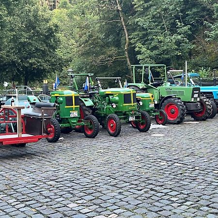 Landgasthof Zur Burg Grenzau Hoehr-Grenzhausen Ngoại thất bức ảnh